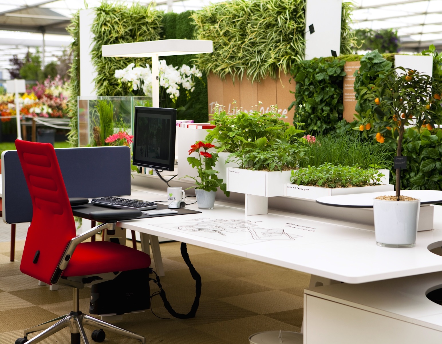 Cách bố trí cây cảnh trong phòng làm việc khoa học nhất cach-bo-tri-cay-canh-trong-phong-lam-viec-khoa-hoc-nhat-5.jpg