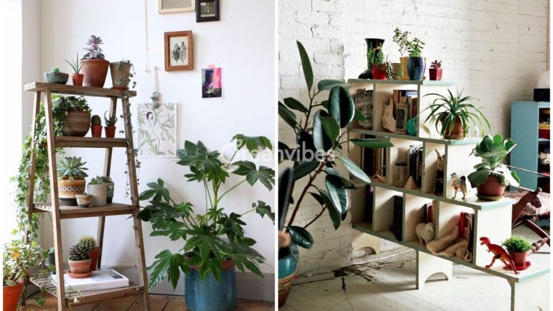 cach-trang-tri-cay-canh-trong-nha-3 Sử dụng kệ trưng bày cây xanh để trang trí nhà