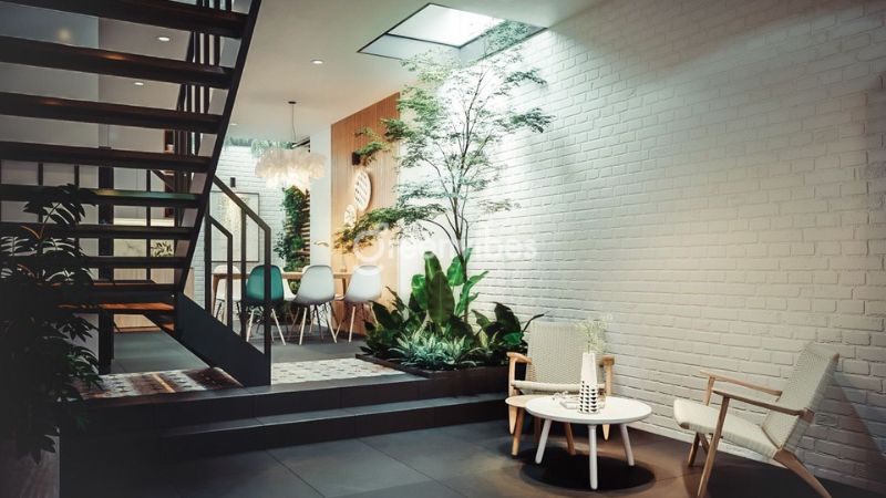 cach-trang-tri-cay-canh-trong-nha-5 Thêm cây cảnh dưới giếng trời