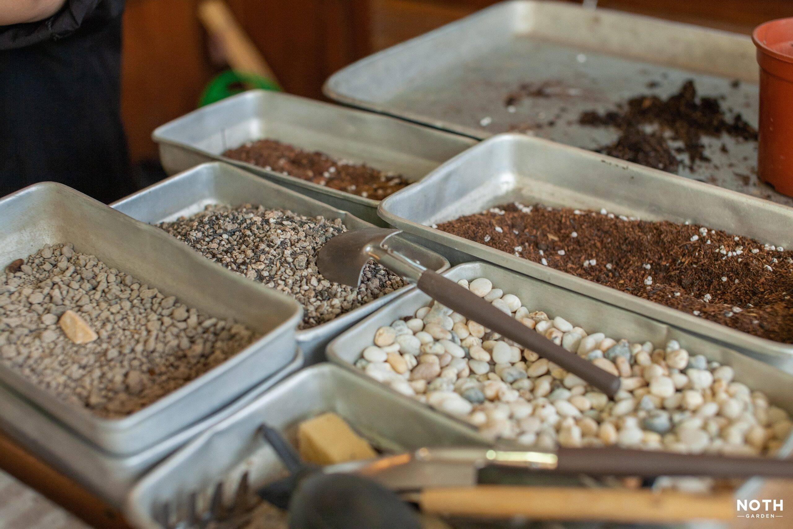 Cách trộn hỗn hợp đất cho cây lá trong nhà