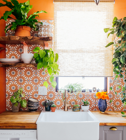 cách trồng cây trong nhà bếp cach-trong-cay-trong-nha-bep-2.png