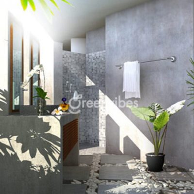 [Top] 12 loại cây cảnh để trong nhà vệ sinh phù hợp nhất