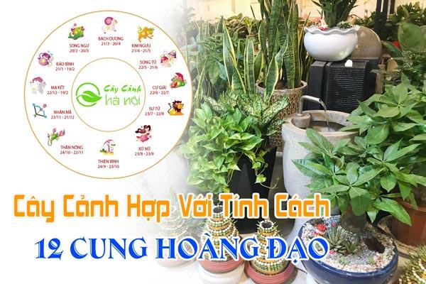 Cây cảnh phù hợp với 12 cung hoàng đạo