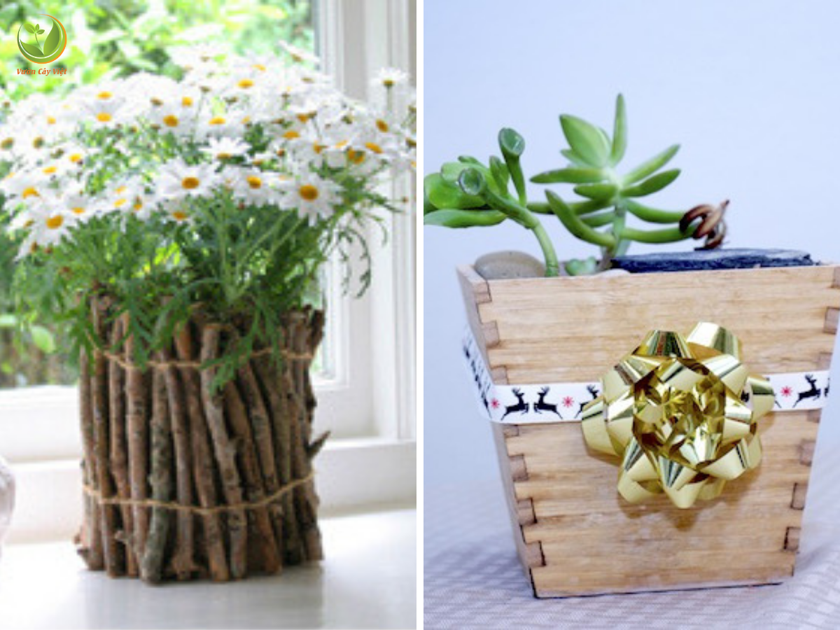trang trí cây cảnh làm quà tặng cay-canh-lam-qua-tang-1.png