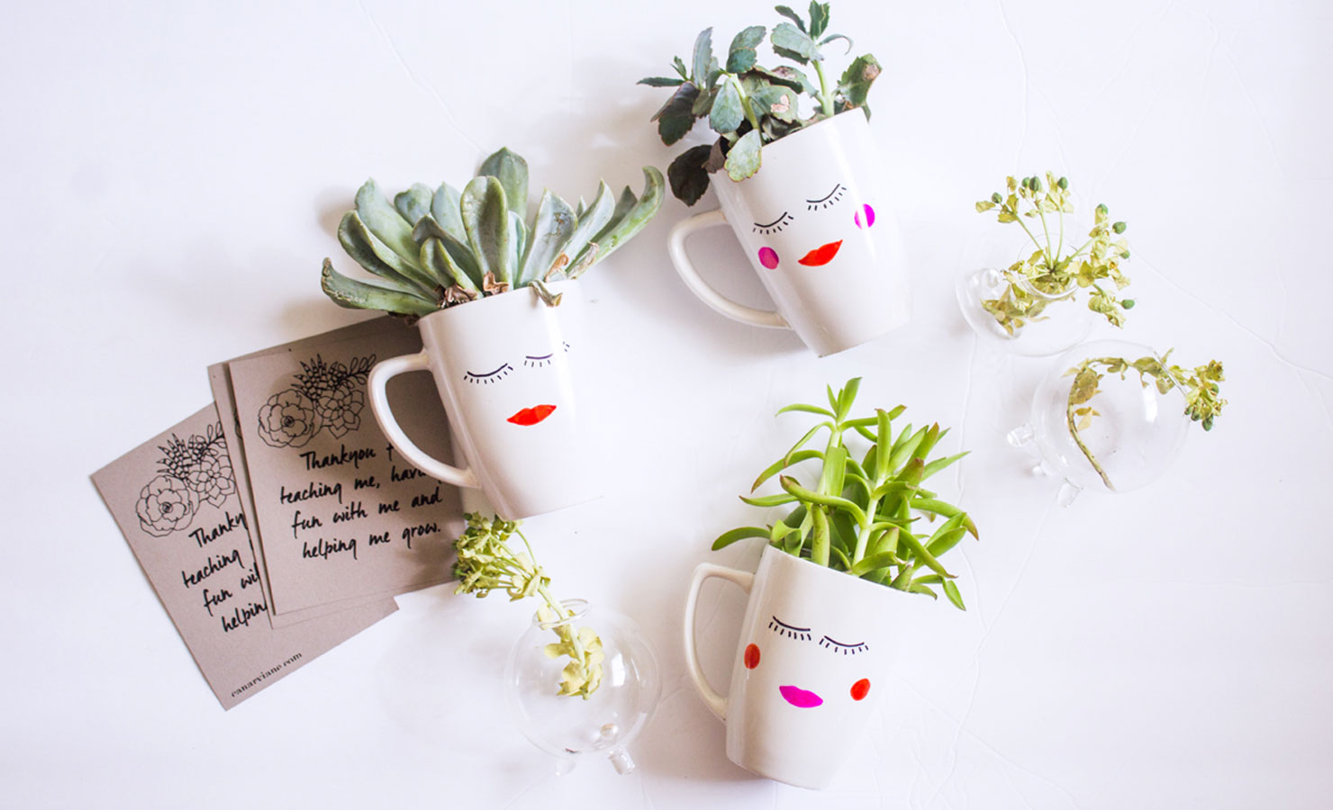 trang trí chậu cây cảnh làm quà tặng cay-canh-lam-qua-tang-de-thuong.jpg