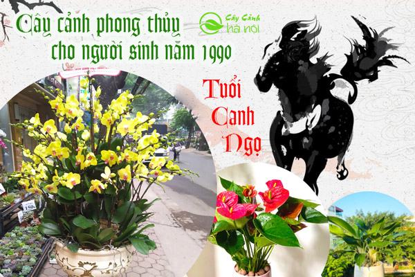 Cây cảnh phong thủy cho người sinh năm 1990