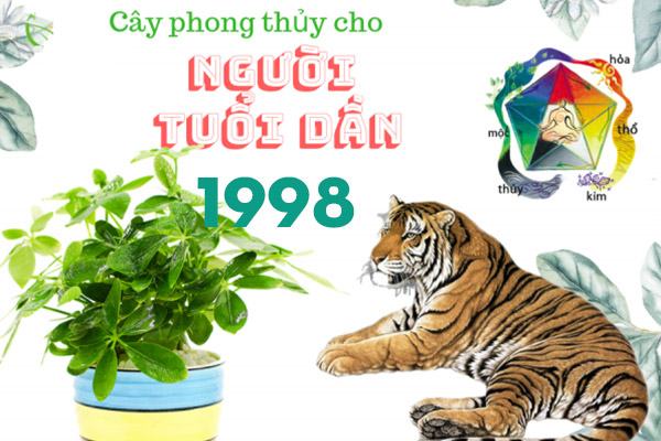 Cây cảnh phong thủy hợp tuổi dần sinh năm 1998