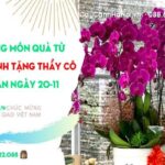 cay-canh-tang-thay-co-1.jpg