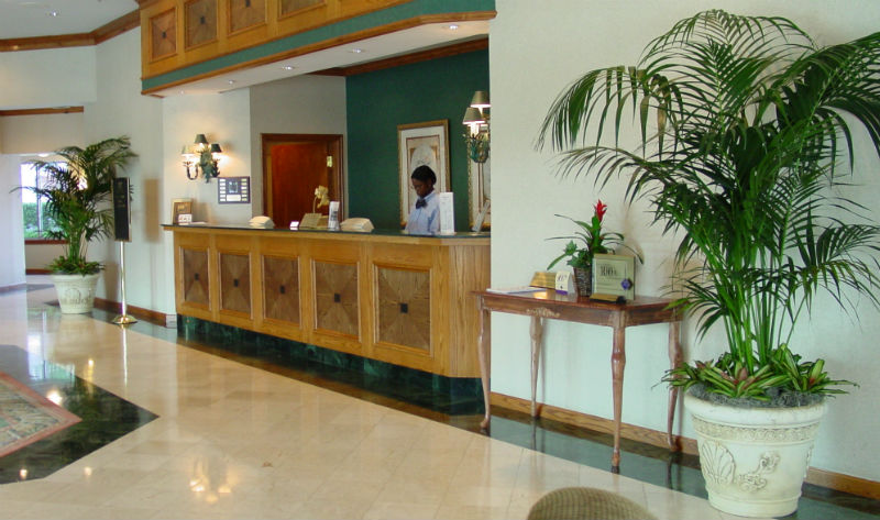 cây phong thủy khách sạn cay-canh-trang-tri-khach-san.jpg