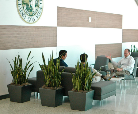 cây cảnh trang trí khách sạn cây Lưỡi Hổ cay-canh-trang%20tri-sanh-khach-san-1.jpg