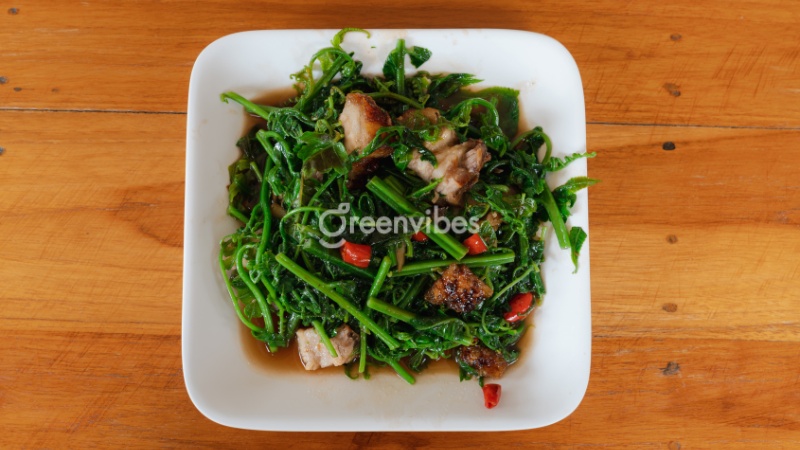 cay-duong-xi-co-an-duoc-khong-6 Tại một số quốc gia, dương xỉ là một loại rau xanh trong bữa ăn hàng ngày