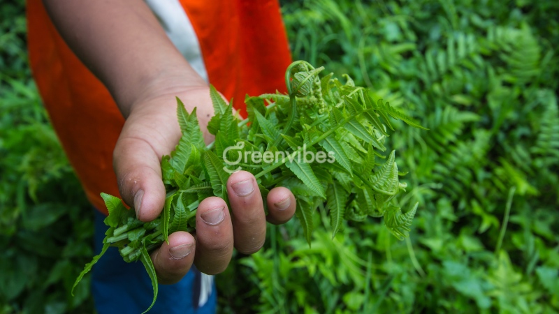 Thực phẩm khuyến nghị cho bệnh nhân tiểu đường