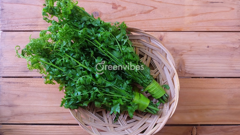 Bổ sung dương xỉ vào chế độ ăn uống để tăng cường thị lực