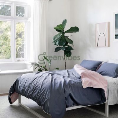 cay-loc-khong-khi-trong-phong-ngu-1-400x400-2 Top 15+ cây lọc không khí trong phòng ngủ tốt cho hệ hô hấp