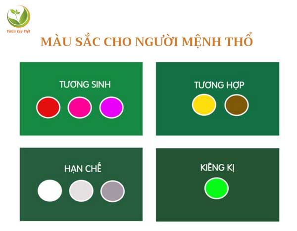 cay-phong-thuy-cho-menh-THO-theo-mau-vcv.jpg