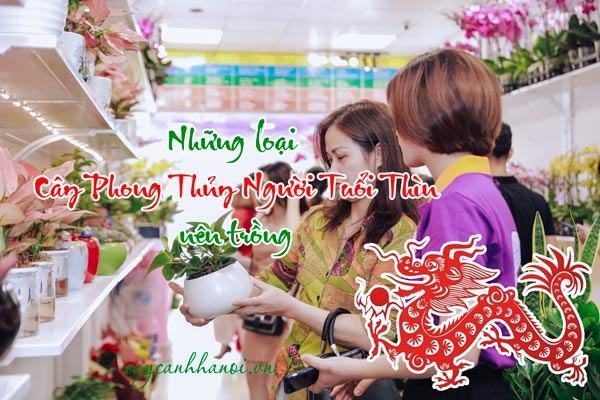 Những loài cây phong thủy người tuổi Thìn nên trồng