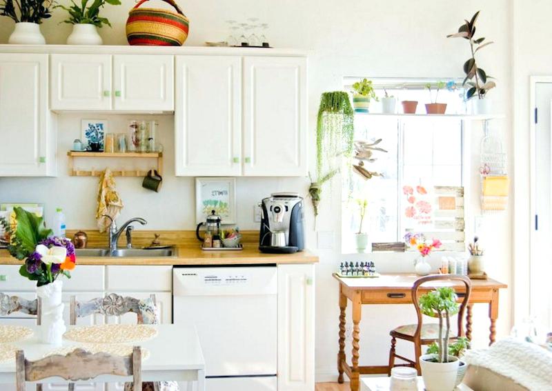 cây phong thủy trong phòng bếp cay-phong-thuy-trong-phong-bep.jpg