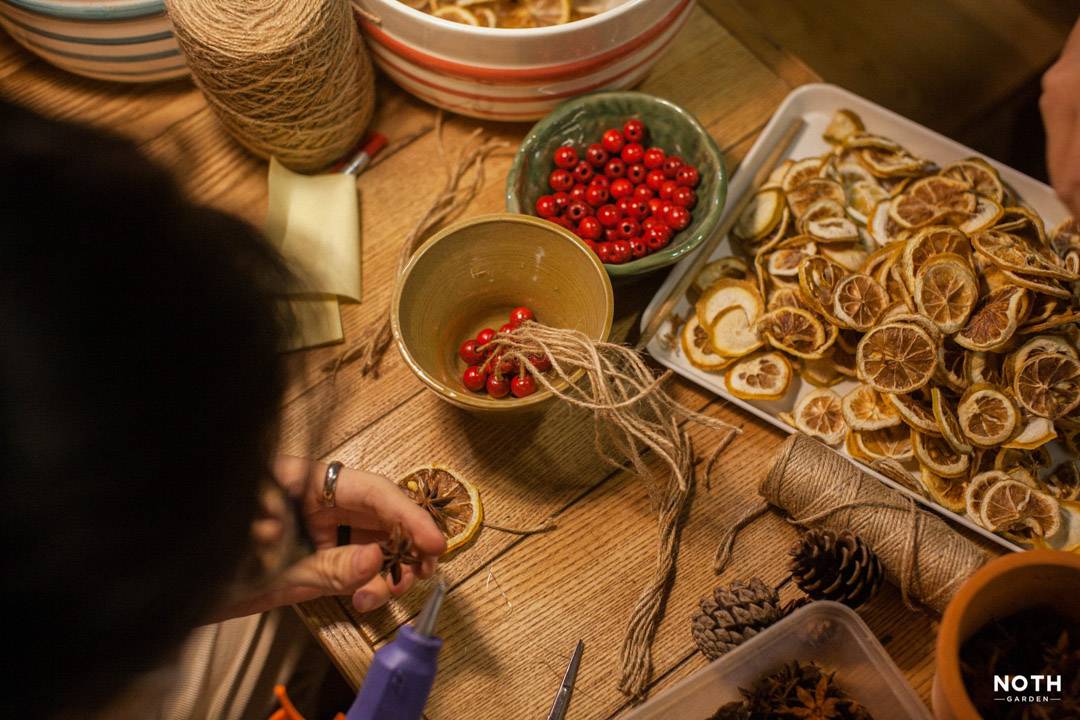 Cây “Thông” Noel – Chuyện chưa kể