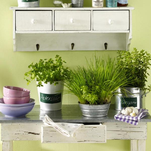 cây trồng ăn được trong bếp cay-trong-an-duoc-trong-bep.jpg