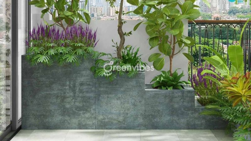 cay-trong-ban-cong-huong-tay-5 Chọn cây xanh ban công đảm bảo ánh nắng tốt cho cây phát triển