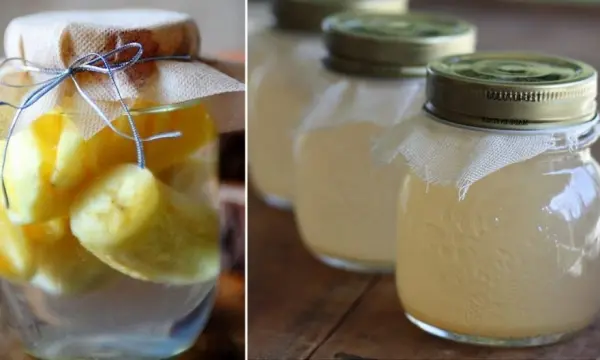 cc3a1ch-lc3aan-men-gie1baa5m-chue1bb91i-te1baa1i-nhc3a0 Cách lên men giấm chuối tại nhà