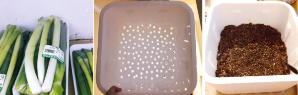 Cách trồng hành lá bằng thùng xốp