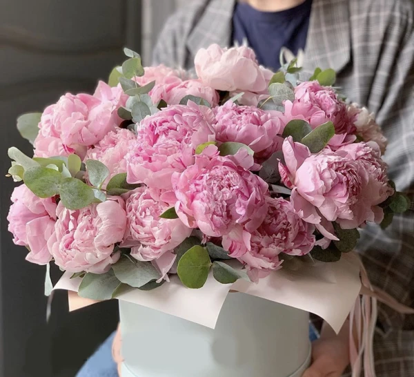 Cách trồng và chăm sóc cây hoa mẫu đơn