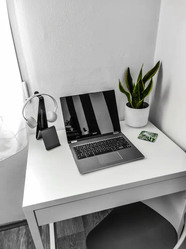 cây lưỡi hổ trang trí