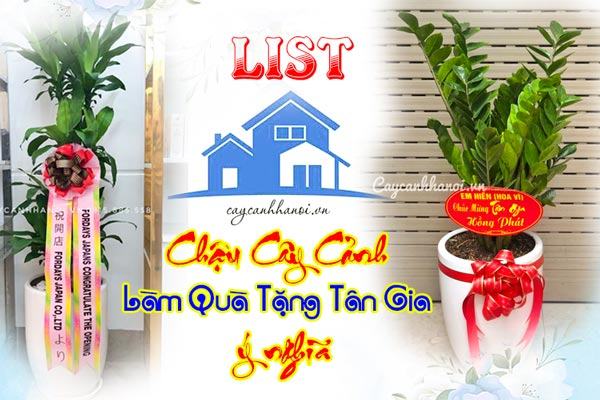 Chậu cây cảnh làm quà tặng tân gia