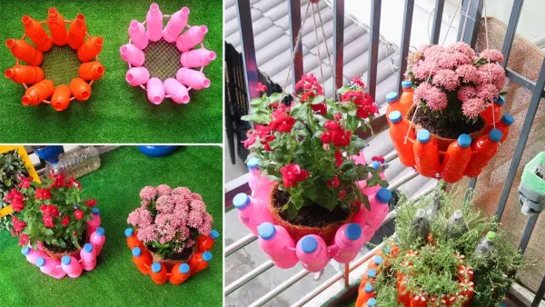 Chậu hoa treo lơ lửng