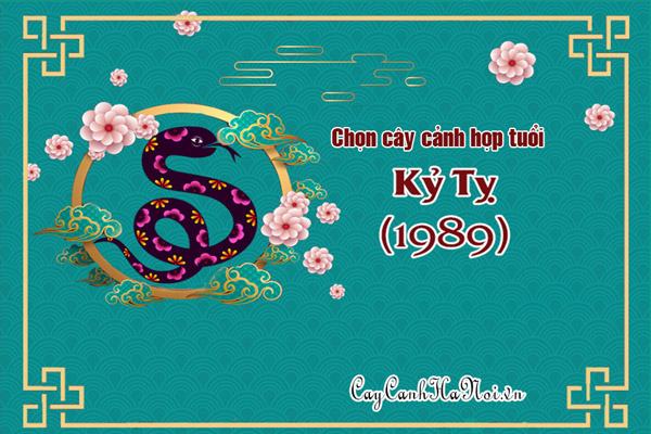 Chọn cây cảnh phong thủy hợp tuổi Kỷ Tỵ