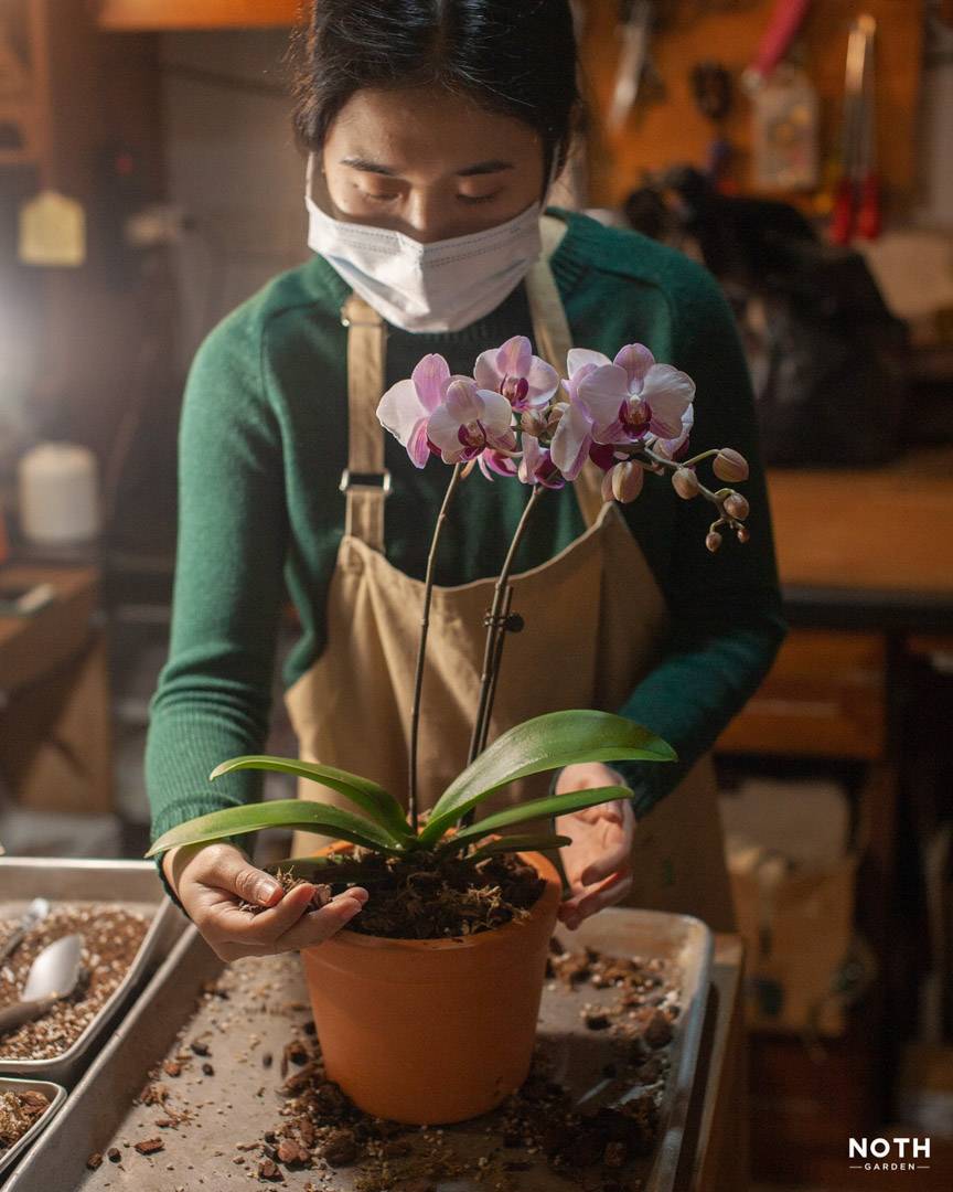 Chơi Lan kiểu người “lười”