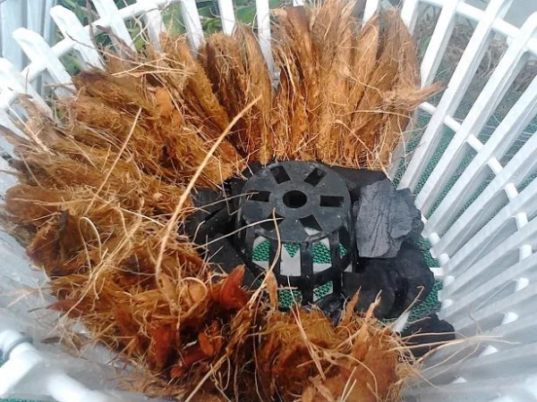 chuẩn bị than, xơ dừa và chậu để trồng cây