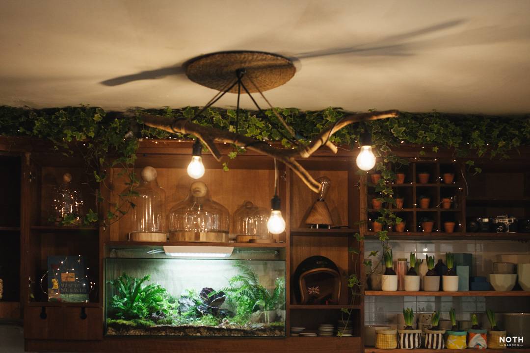 Dấu vân mùi của NOTH