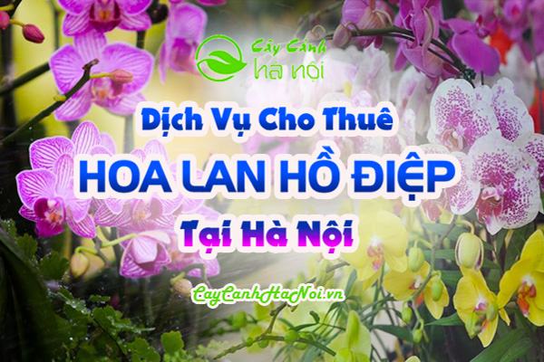 "Dịch