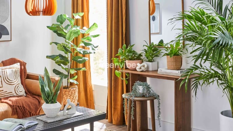 Decor trang trí nhà cửa Đồ trang trí nhà cửa