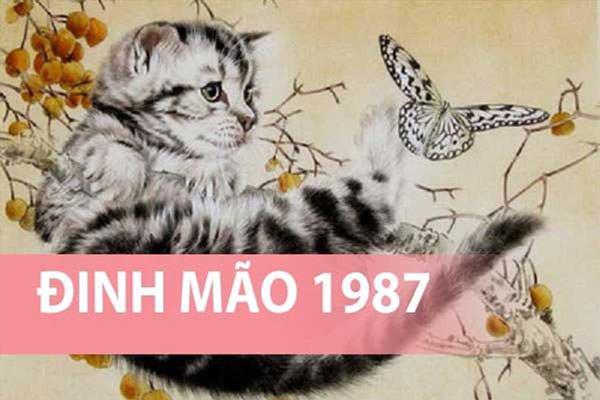 Đôi nét về người tuổi Đinh Mão