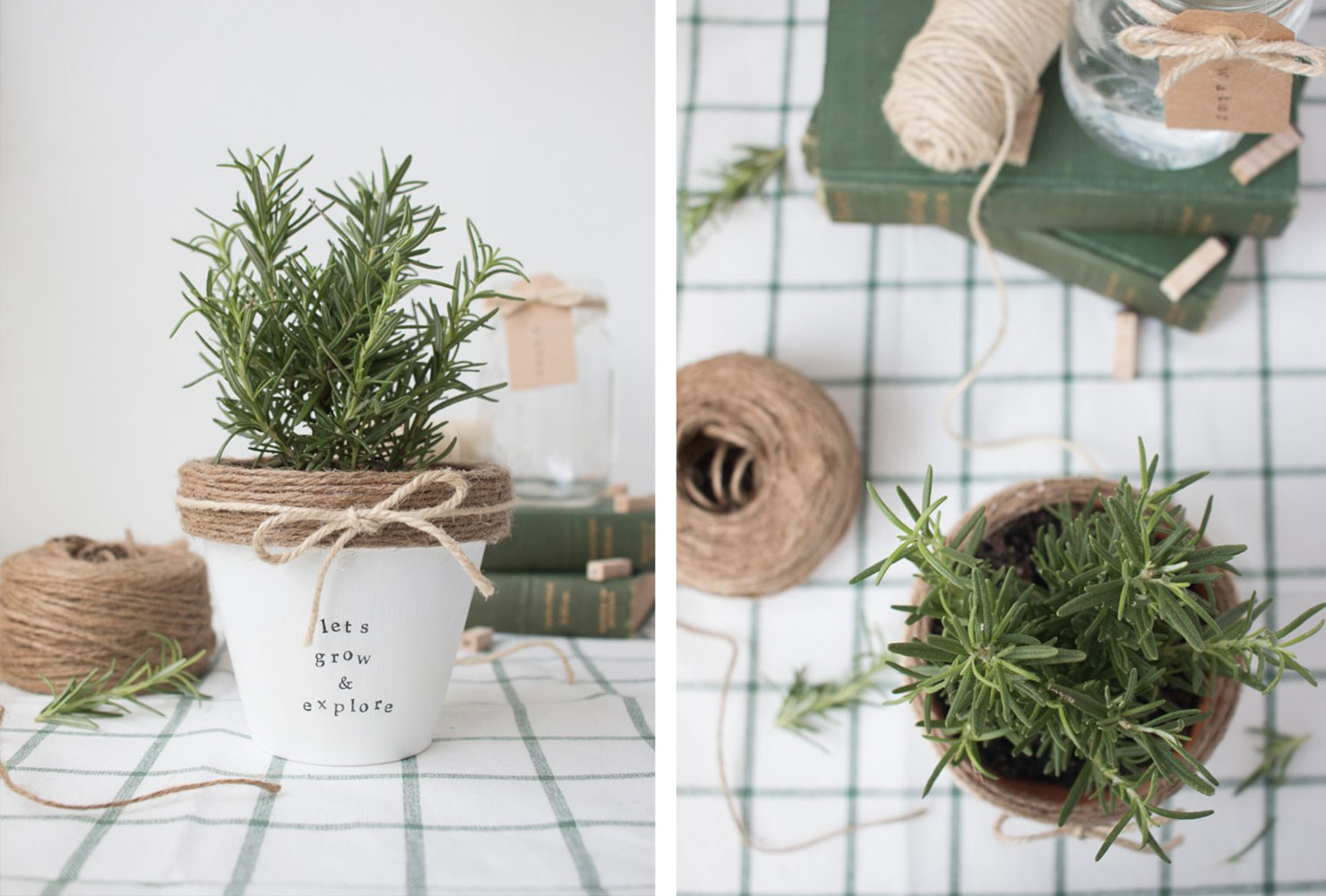 thắt nơ cho cây cảnh làm quà tặng goi-y-cay-canh-lam-qua-tang.jpg