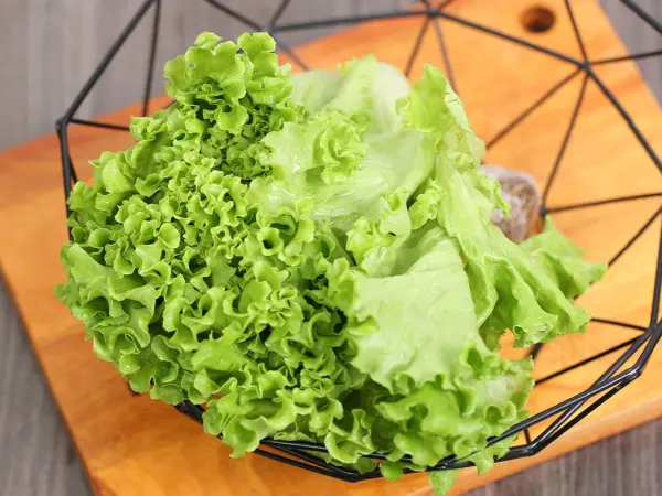 Hướng dẫn cách trồng rau xà lách xoăn đơn giản, dễ làm tại nhà