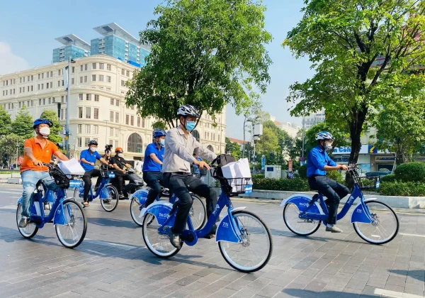 các loại hoa dễ trồng vào mùa hè