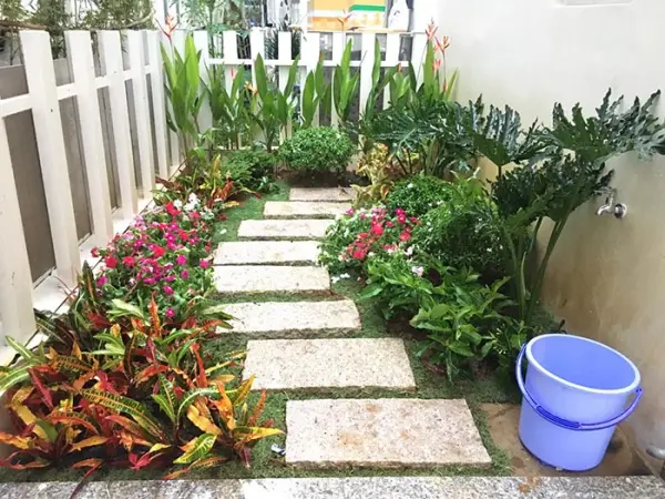 hoa2c-cc3a2y-ce1baa3nh-sc3a2n-vc6b0e1bb9dn Hoa, cây cảnh sân vườn