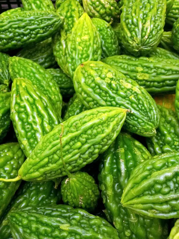 khe1bb95-qua-1-2 khổ qua