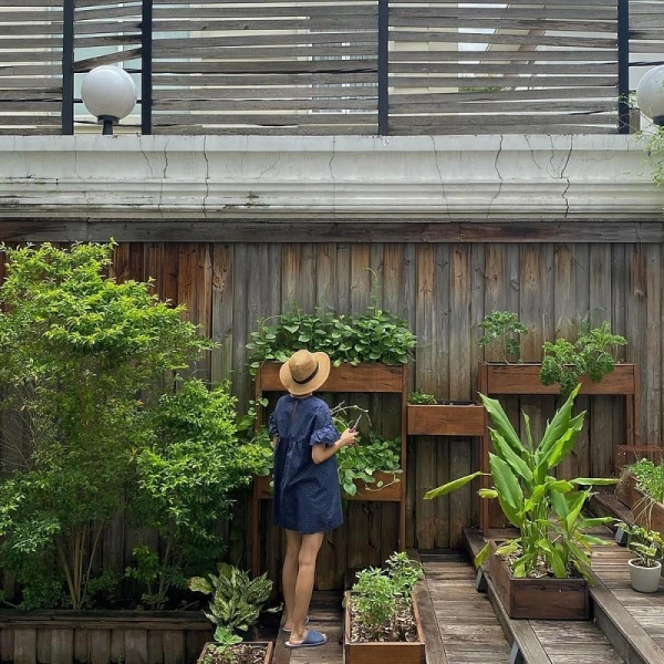 Mẫu nhà vườn tầng