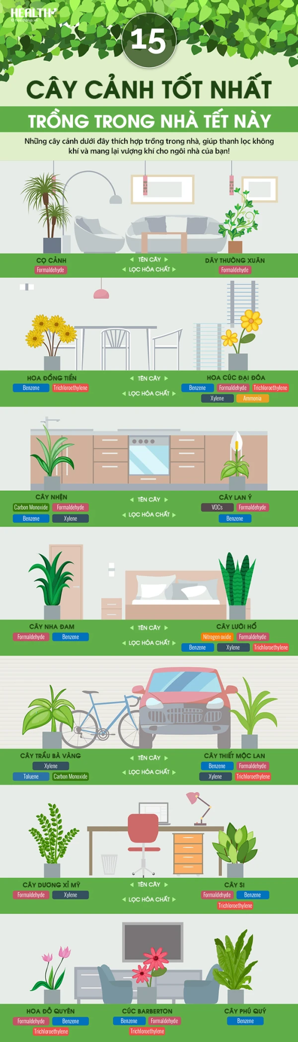 nen-trong-cay-canh-nao-trong-nha nen trong cay canh nao trong nha