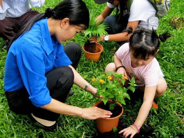 Những bài học về bảo vệ môi trường nên dạy cho trẻ