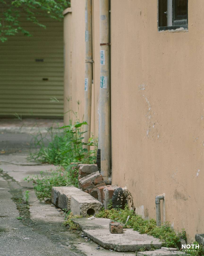 noth-garden-blog-cay-tu-dau-toi-04