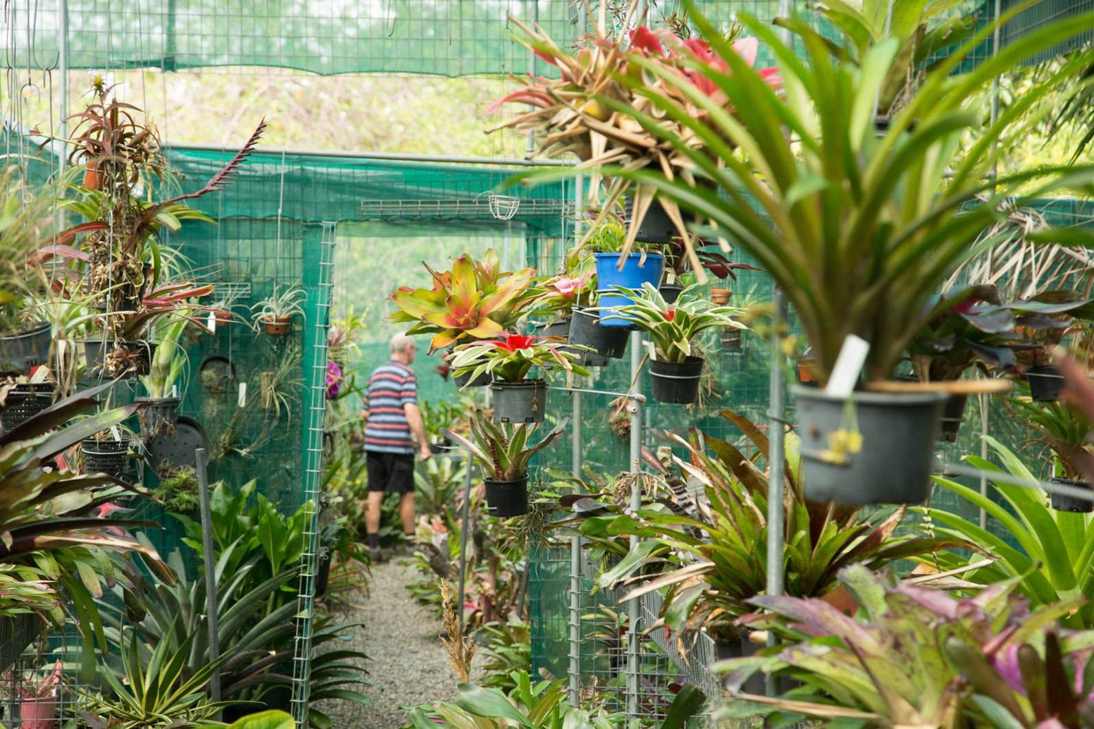 noth-garden-blog-tham-quan-khu-vuon-cua-ong-lao-73-tuoi-barry-kable-11