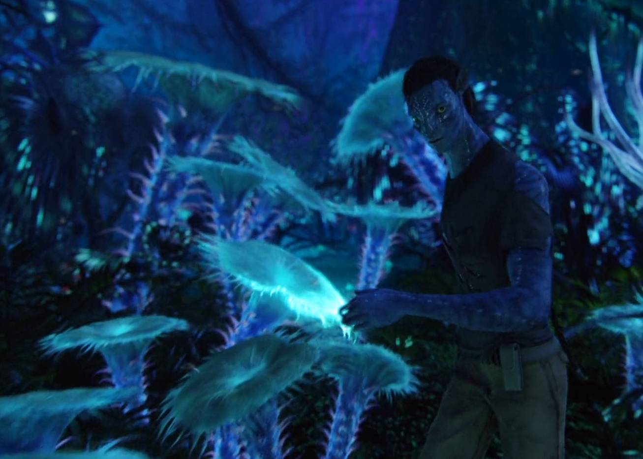 noth-garden-blog-thay-gi-tu-the-gioi-thuc-vat-cua-pandora-avatar-15 Anemonid