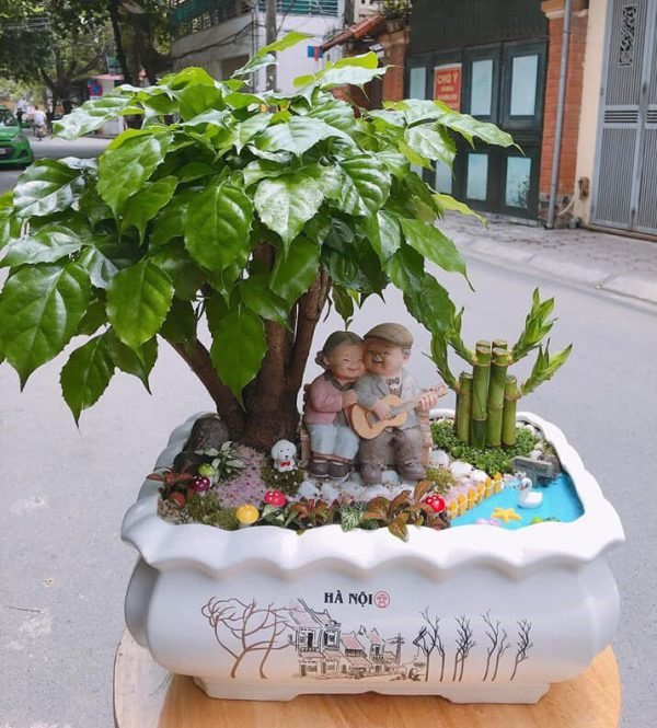 pasted-5 Cây Hạnh Phúc phù hợp nhiều độ tuổi khác nhau nhưng hợp nhất mệnh Mộc