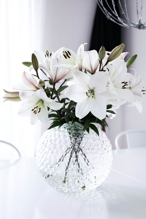 pha-cach-voi-nhung-cach-cam-hoa-ly-dep-tuoi-lau-qua-tet-1 Pha-cach-voi-nhung-cach-cam-hoa-ly-dep-tuoi-lau-qua-tet-1.jpg